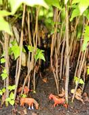 Mini Bosques MUNDITOS