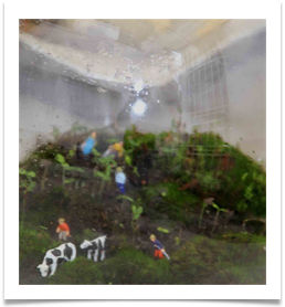 Daniel Pavon Cuellar ecospheres and living forests